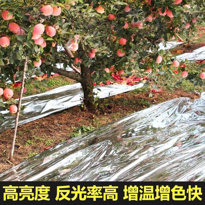 安顺市防草布果树反光膜 - 一站式服务